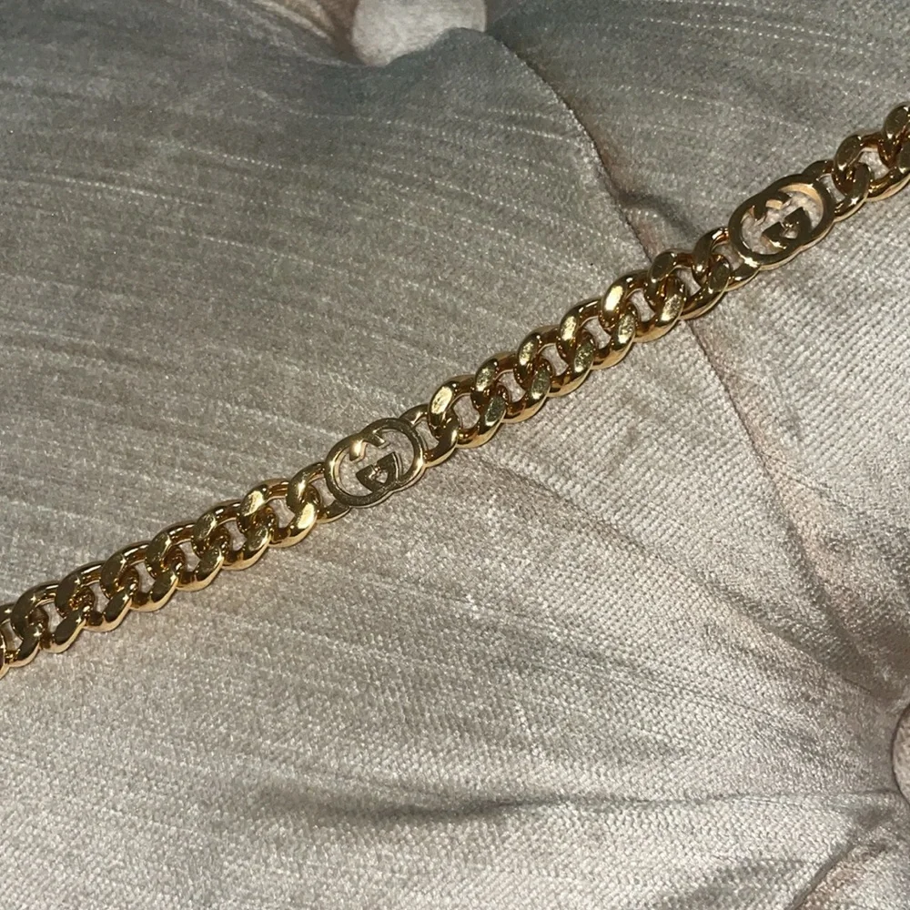 New Gucci dog leash/harness